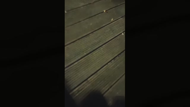 isaacwufun  14-09-2022